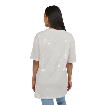 ARIES – OINAS T-Paita Unisex | Oversized Fit