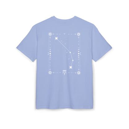 ARIES – OINAS T-Paita Unisex | Oversized Fit