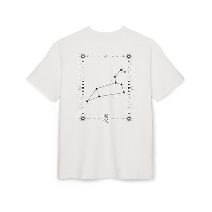 LEO – LEIJONA T-Paita Unisex | Oversized Fit